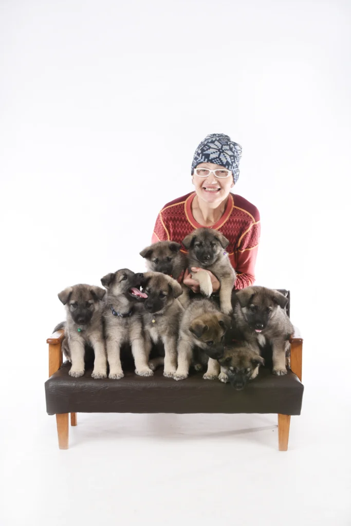 Anne with puppies